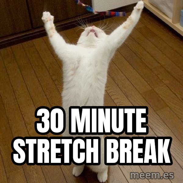 praise the lord cat meme: 30 MINUTE STRETCH BREAK