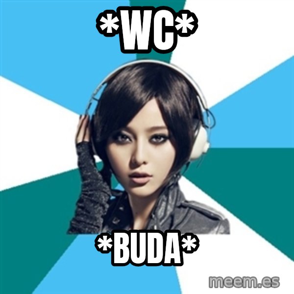 Crafty Interpreter meme: *WC* / *buda*
