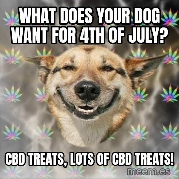 Stoner Dog meme: What does your dog want for 4th of July? / CBD Treats, Lots of CBD Treats!