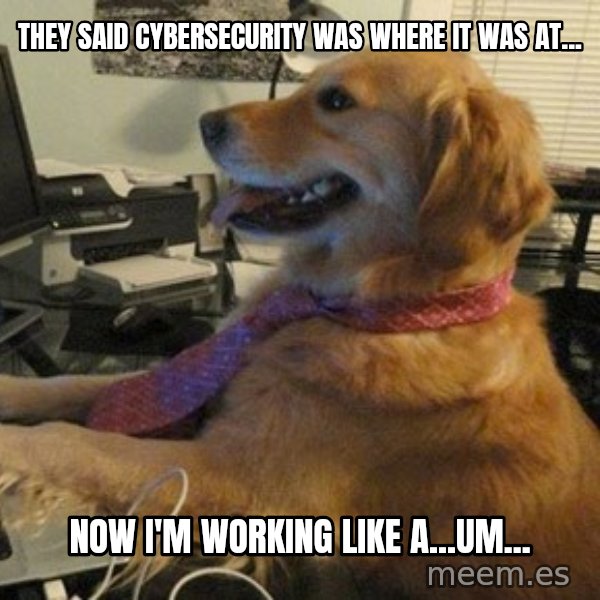 I have no idea what I'm doing - Dog with Tie meme: They said Cybersecurity was where it was at... / Now I'm working like a...um...