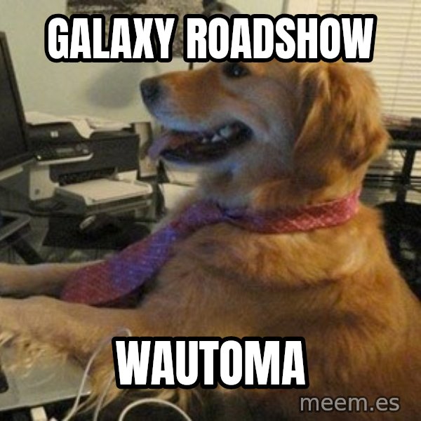 I have no idea what I'm doing - Dog with Tie meme: Galaxy Roadshow / Wautoma