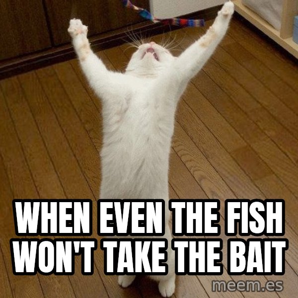 praise the lord cat meme: When even the fish won't take the bait