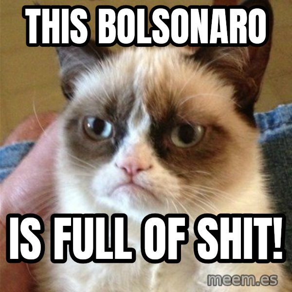 Grumpy Cat  meme: THIS BOLSONARO / IS FULL OF SHIT!