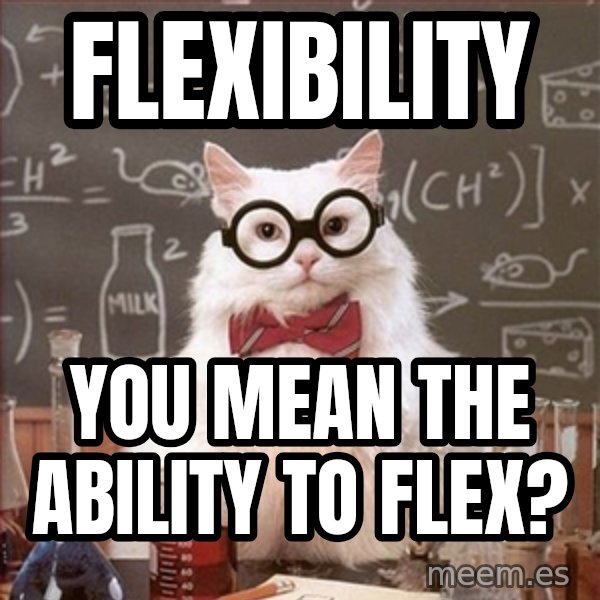 Science Cat meme: Flexibility / you mean the ability to flex?