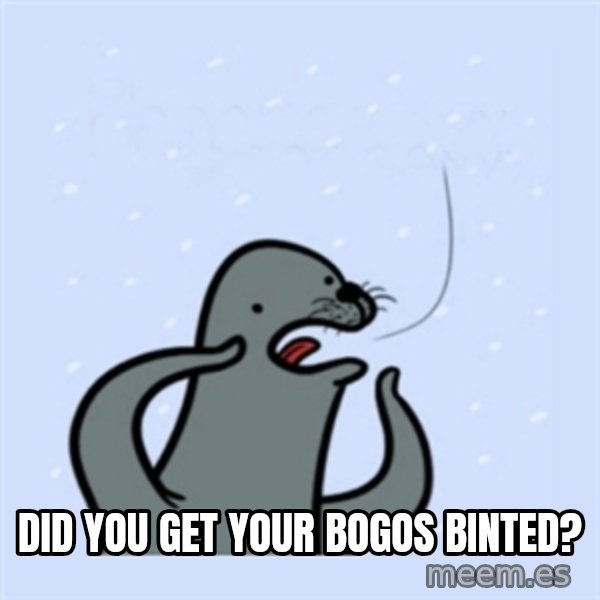 gay seal meme: did you get your bogos binted?