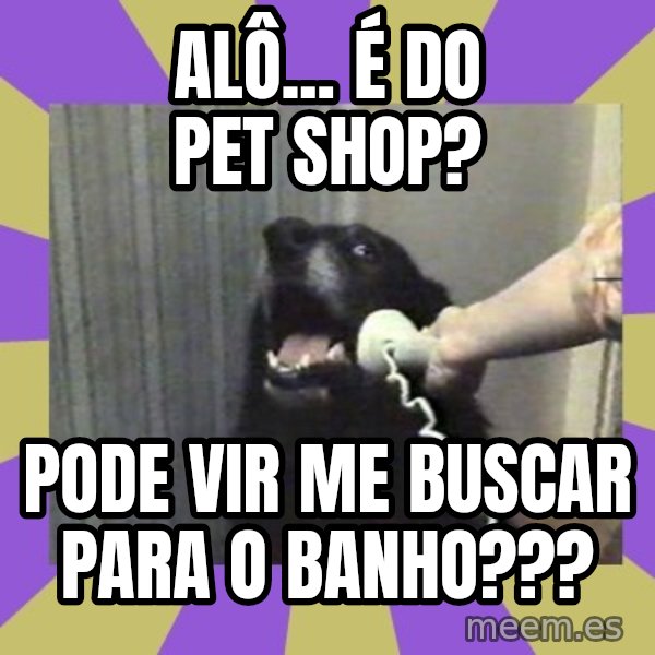 Yes, this is dog! meme: Alô... é  do Pet shop? / Pode vir me buscar para o banho???