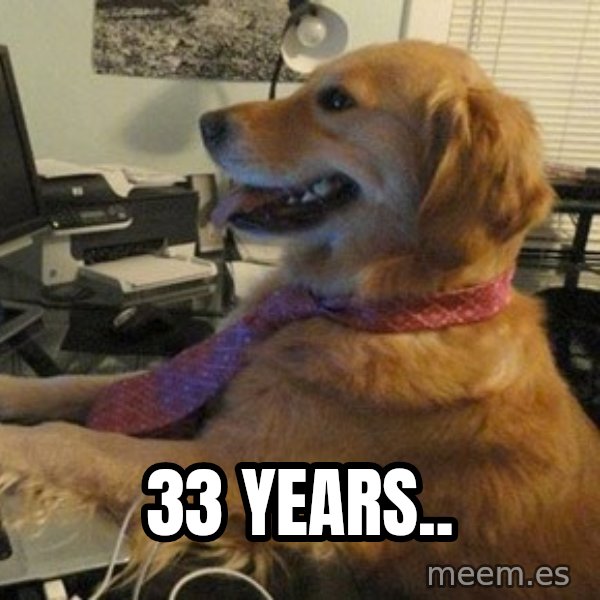 I have no idea what I'm doing - Dog with Tie meme: 33 years..