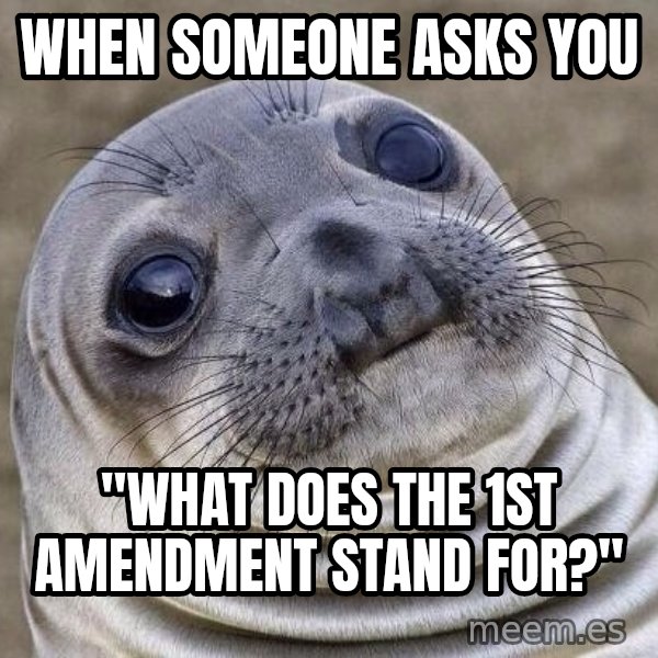 Awkward Seal meme: When someone asks you / "What does the 1st Amendment stand for?"