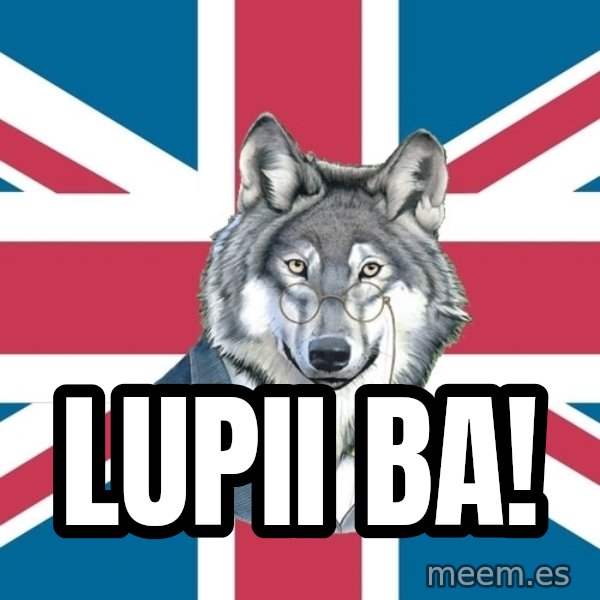 Sir Courage Wolf Esquire meme: Lupii ba!
