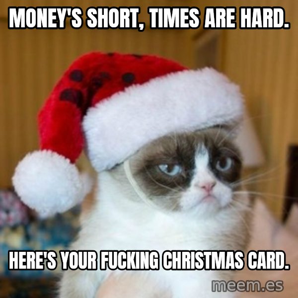 Grumpy Cat Santa Hat meme: Money's short, times are hard. / Here's your fucking Christmas card.