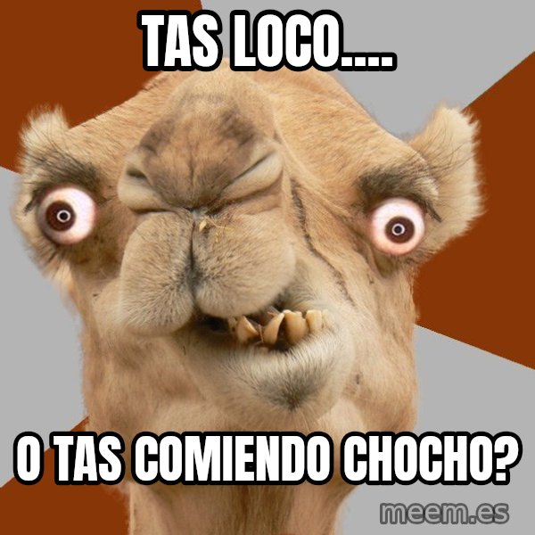 Crazy Camel lol meme: Tas loco.... / O tas comiendo chocho?