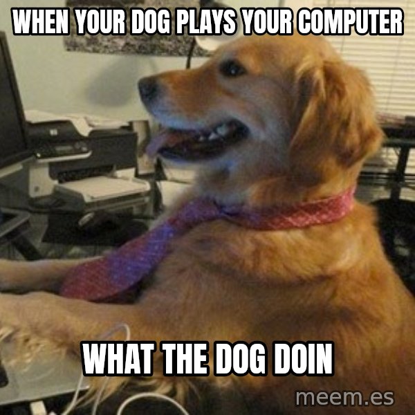 I have no idea what I'm doing - Dog with Tie meme: When your dog plays your computer / What the dog doin