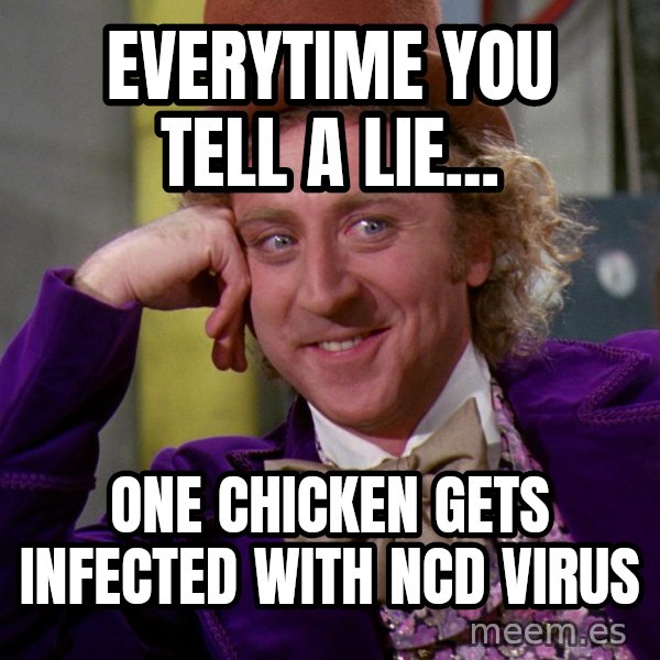 Willy Wonka meme: Everytime you tell a lie... / One chicken gets infected with NCD virus
