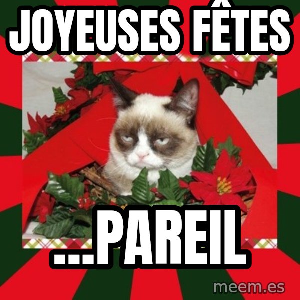 GRUMPY CAT ON CHRISTMAS meme: Joyeuses Fêtes / ...pareil