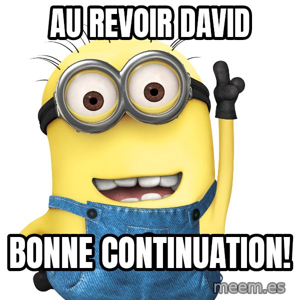 Despicable Me Minion meme: Au revoir David / Bonne continuation!