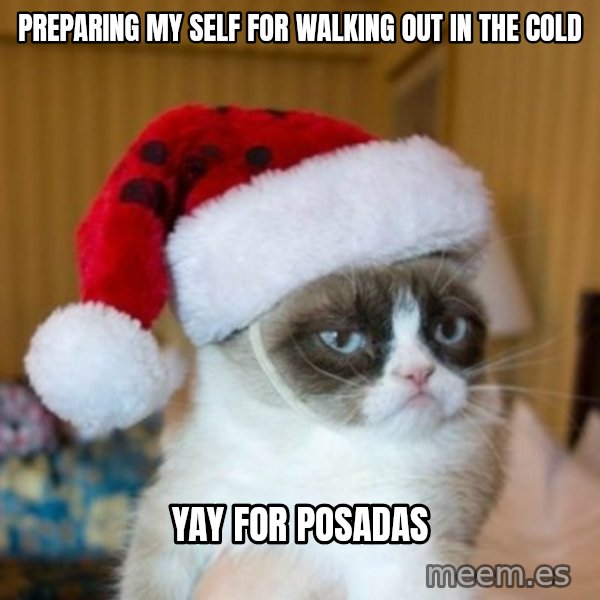 Grumpy Cat Santa Hat meme: Preparing my self for walking out in the cold / yay for posadas