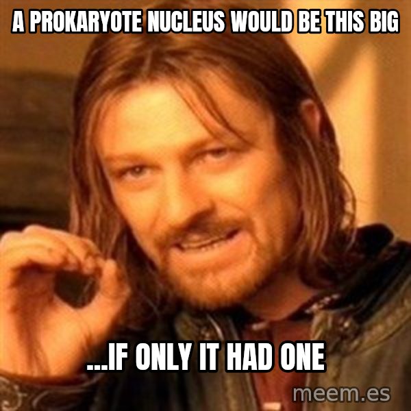 One Does Not Simply meme: A Prokaryote nucleus would be this big / ...if only it had one
