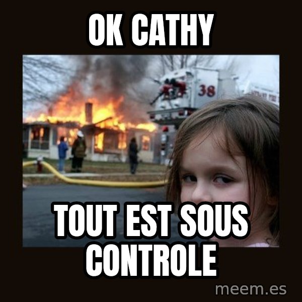 Disaster Girl meme: Ok cathy / tout est sous controle