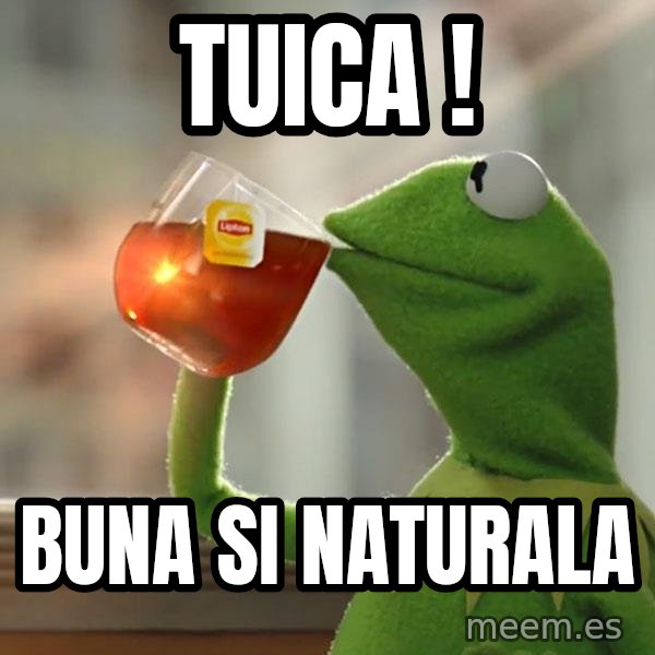 Kermit The Frog Drinking Tea meme: Tuica ! / Buna si naturala