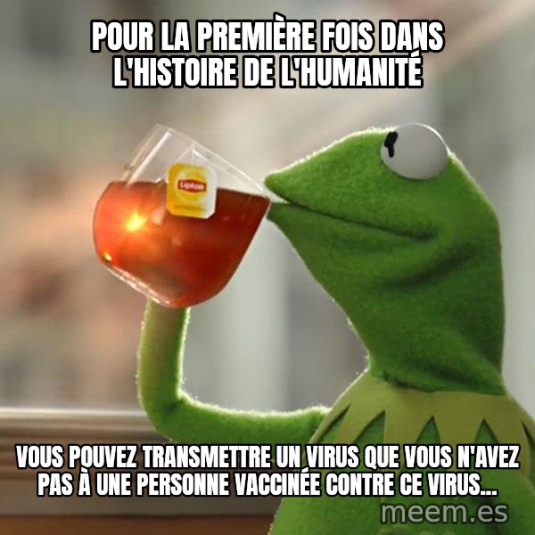 Kermit The Frog Drinking Tea meme: Pour la première fois dans l'histoire de l'humanité / Vous pouvez transmettre un virus que vous n'avez pas à une personne vaccinée contre ce virus...
