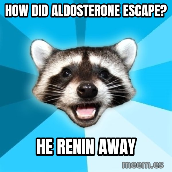 Lame Pun Coon meme: How did aldosterone escape? / He Renin away