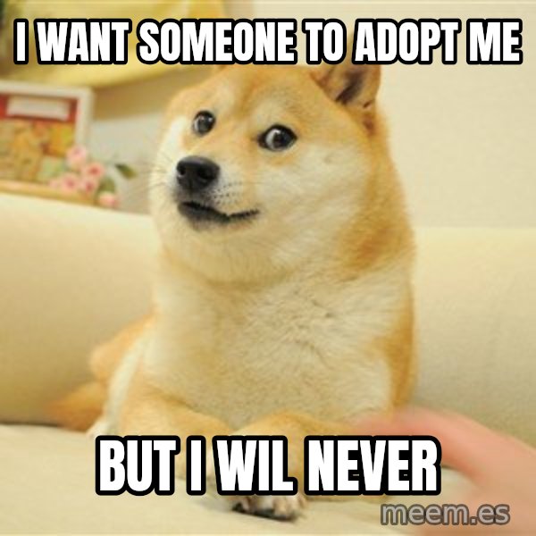 so doge meme: i want someone to adopt me / but i wil never
