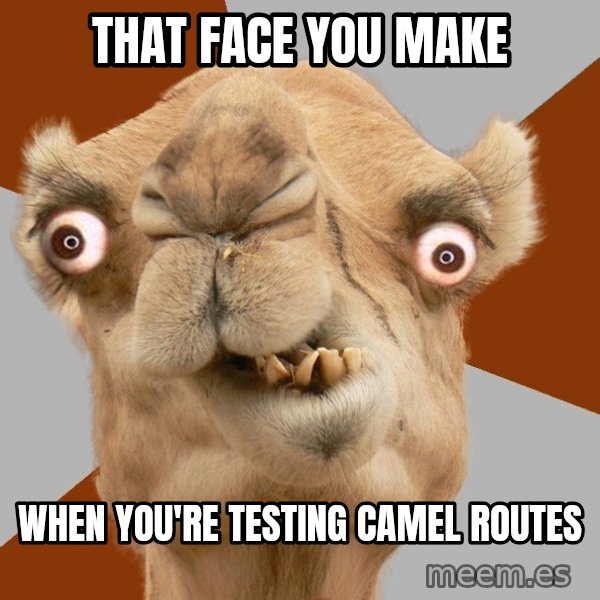 Crazy Camel lol meme: That face you make / when you're testing camel routes