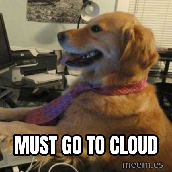 I have no idea what I'm doing - Dog with Tie meme: Must go to cloud