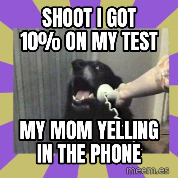 Yes, this is dog! meme: Shoot I got 10% on my test / My mom yelling in the phone