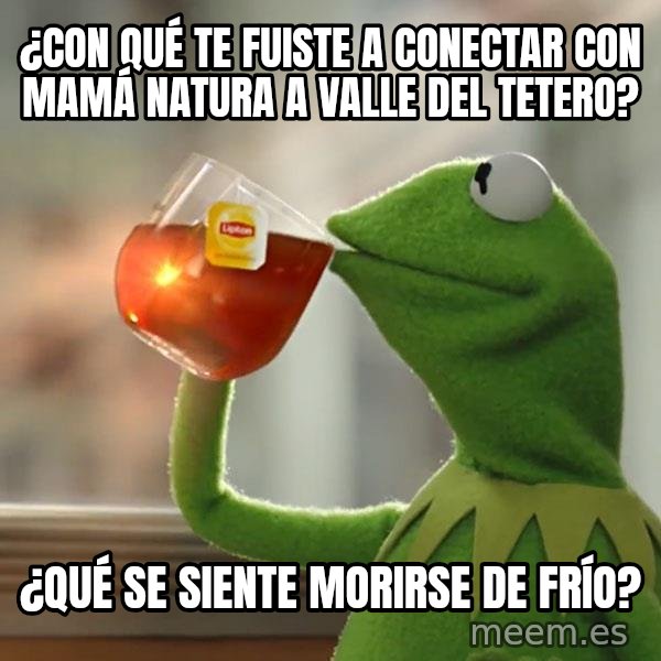 Kermit The Frog Drinking Tea meme: ¿Con qué te fuiste a conectar con mamá natura a Valle del Tetero? / ¿Qué se siente morirse de frío?