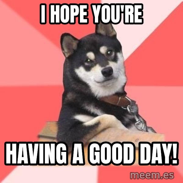 Cool Dog meme: I hope you're / having a good day!