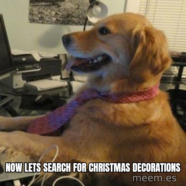 I have no idea what I'm doing - Dog with Tie meme: now lets search for christmas decorations