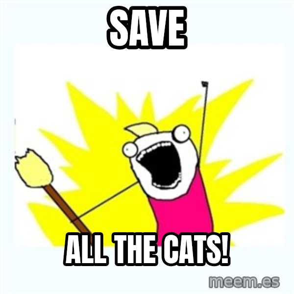All the things meme: Save / All the cats!