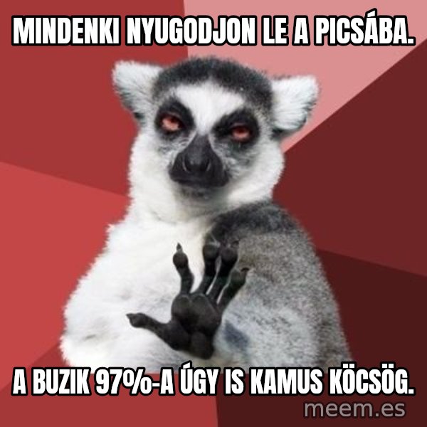 mindenki nyugodjon le a picsába meme: Mindenki nyugodjon le a picsába. / A buzik 97%-a úgy is kamus köcsög.