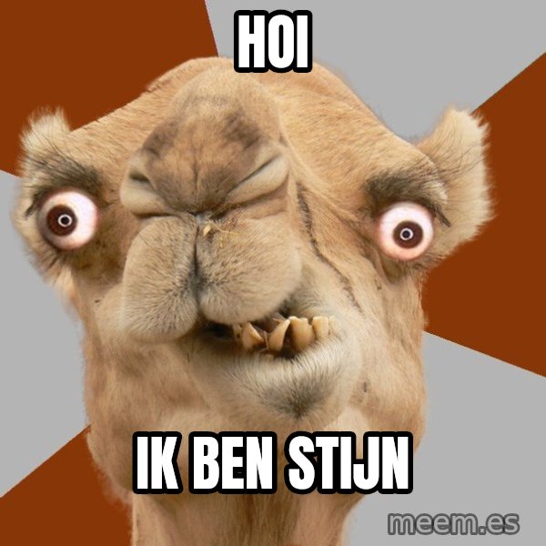 Crazy Camel lol meme: hoi / ik ben stijn