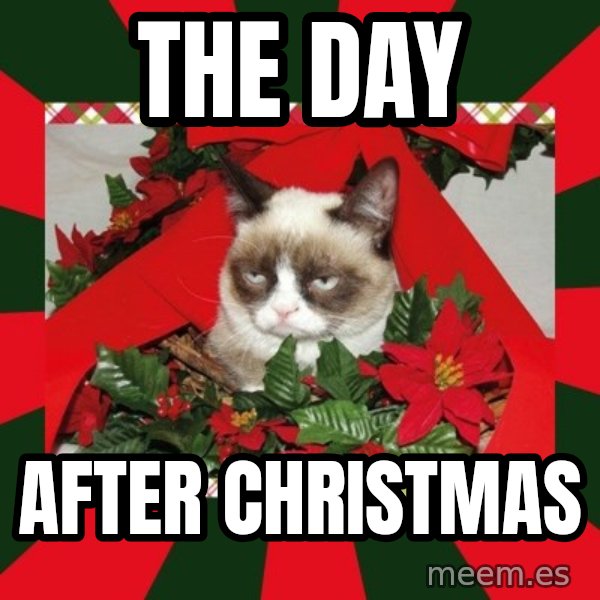 GRUMPY CAT ON CHRISTMAS meme: the day / after christmas