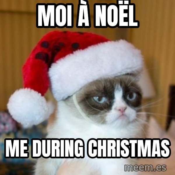 Grumpy Cat Santa Hat meme: Moi à Noël / me during christmas