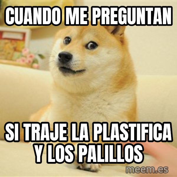 so doge meme: Cuando me preguntan / Si traje la plastifica y los palillos