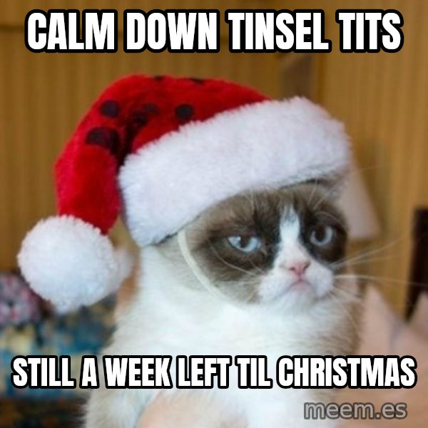Grumpy Cat Santa Hat meme: Calm down tinsel tits / Still a week left til Christmas