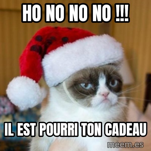 Grumpy Cat Santa Hat meme: Ho no no no !!! / Il est pourri ton cadeau