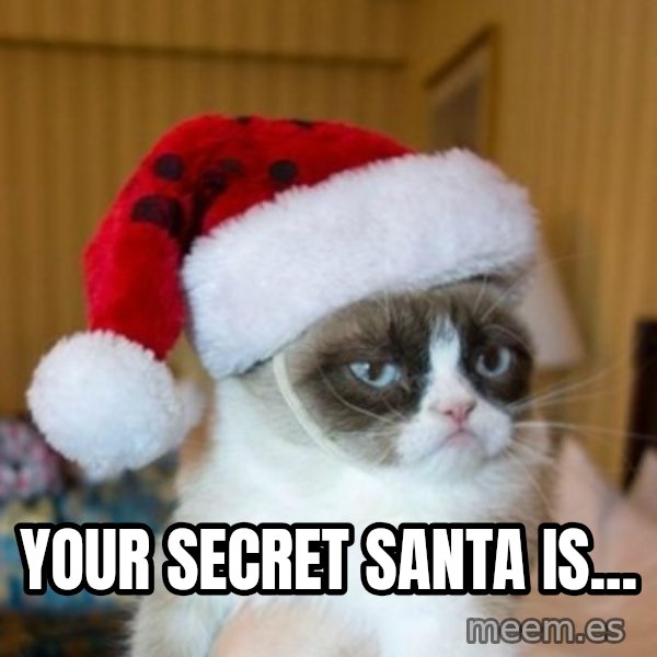 Grumpy Cat Santa Hat meme: Your Secret Santa is...