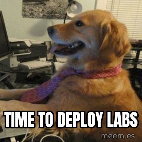 I have no idea what I'm doing - Dog with Tie meme: Time to deploy labs