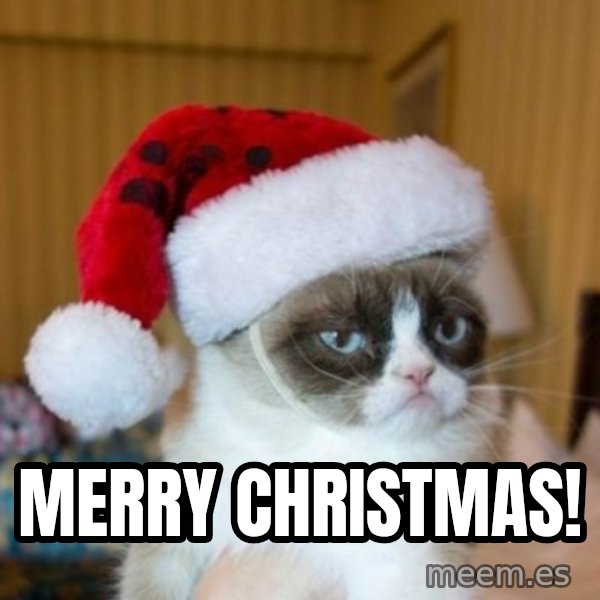Grumpy Cat Santa Hat meme: Merry Christmas!