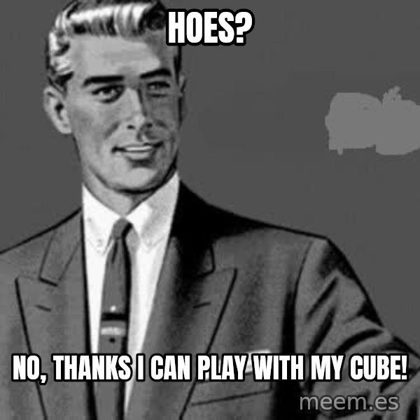 Correction Man  meme: Hoes? / No, thanks i can play with my cube!