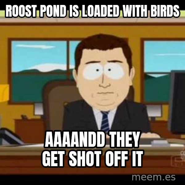 south park aand it's gone meme: Roost Pond is loaded with birds / Aaaandd they get shot off it