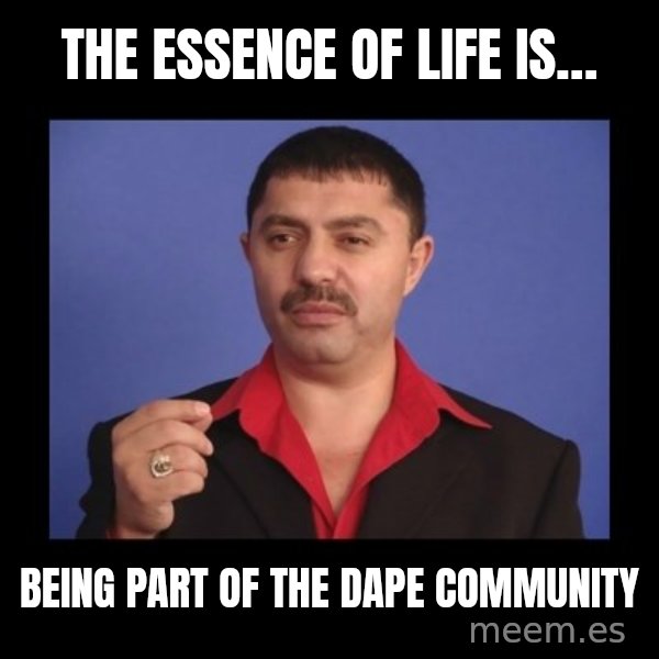 Manelistul Nicolae Guta meme: The essence of life is… / Being part of the DAPE community