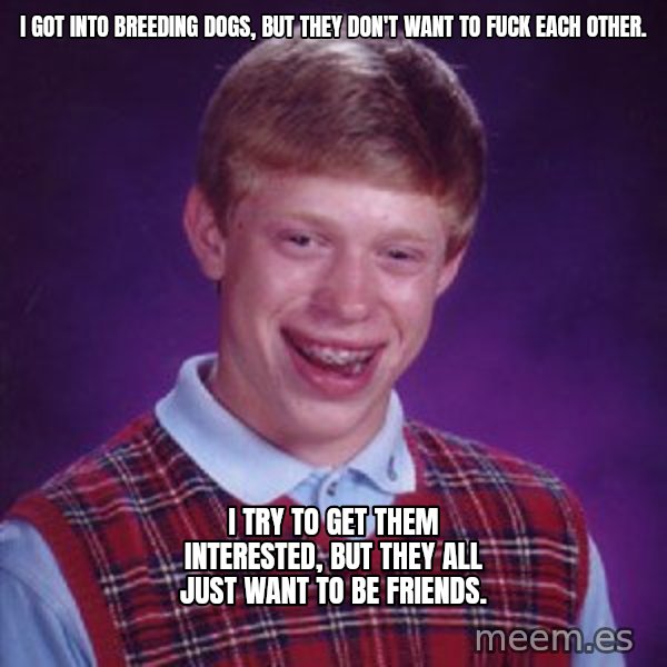 Bad Luck Brian meme: I got into breeding dogs, but they don't want to fuck each other. / I try to get them interested, but they all just want to be friends.