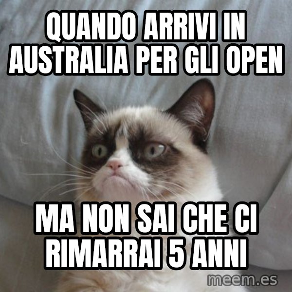 Grumpy cat good meme: Quando arrivi in Australia per gli Open / ma non sai che ci rimarrai 5 anni