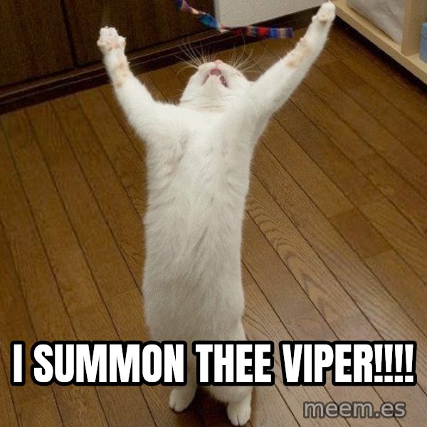 praise the lord cat meme: I Summon Thee VIPER!!!!
