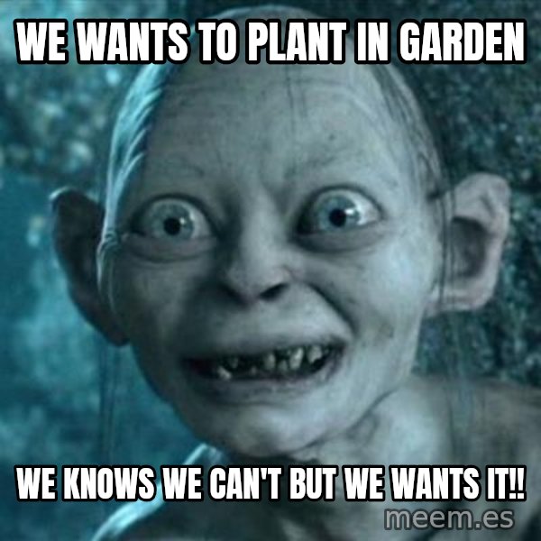 My Precious Gollum meme: WE WANTS TO PLANT IN GARDEN / WE KNOWS WE CAN'T BUT WE WANTS IT!!